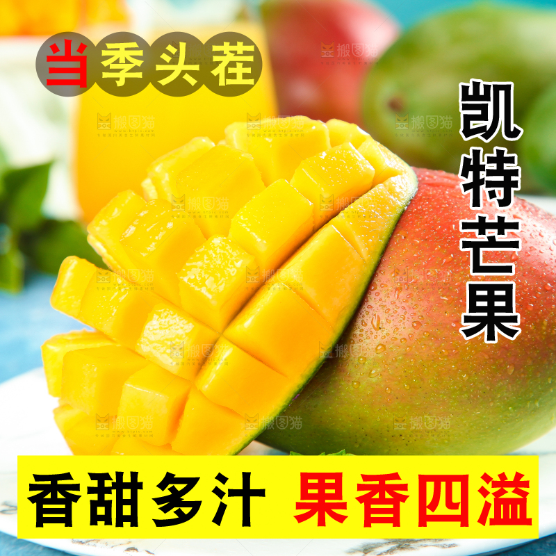 凯特芒主图