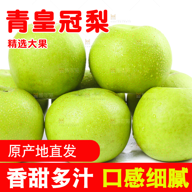 白底上的砀山青皮皇冠梨