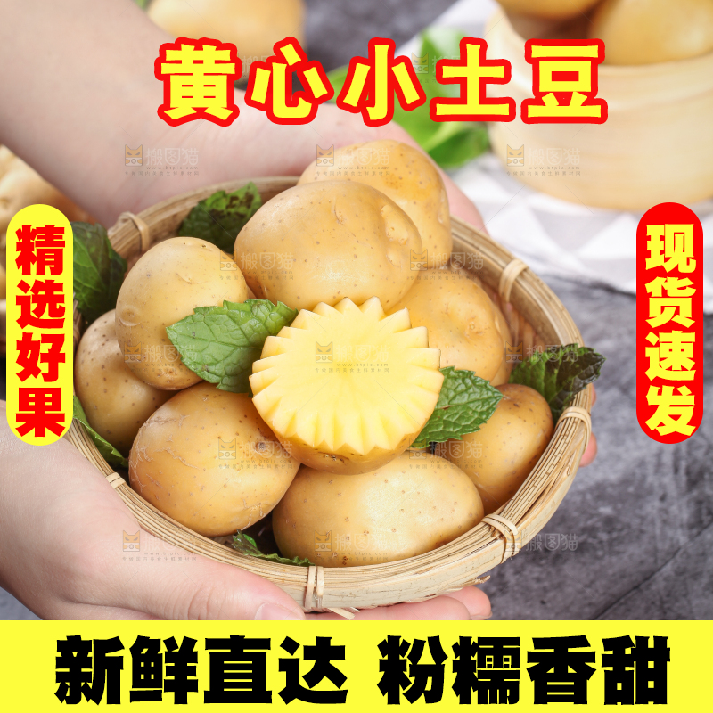 手端一筐小土豆