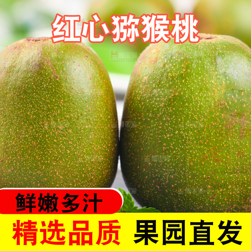 黑石板上的四川红心猕猴桃