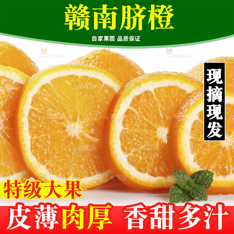 浅底上摆放着脐橙