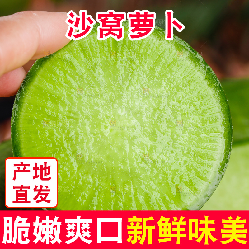 手里拿着萝卜