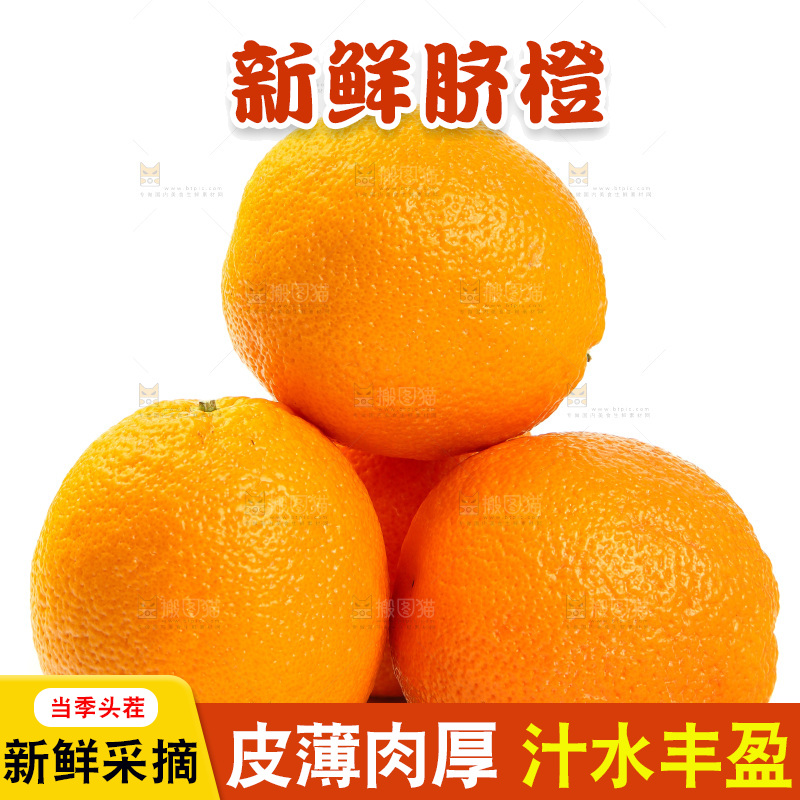白底上摆放着橙子
