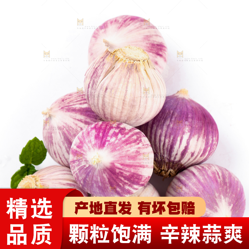 白底上摆放着独蒜