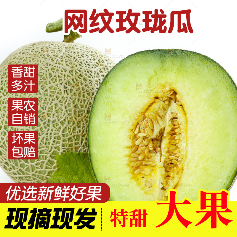 切开的玫珑瓜蜜瓜放在白底上