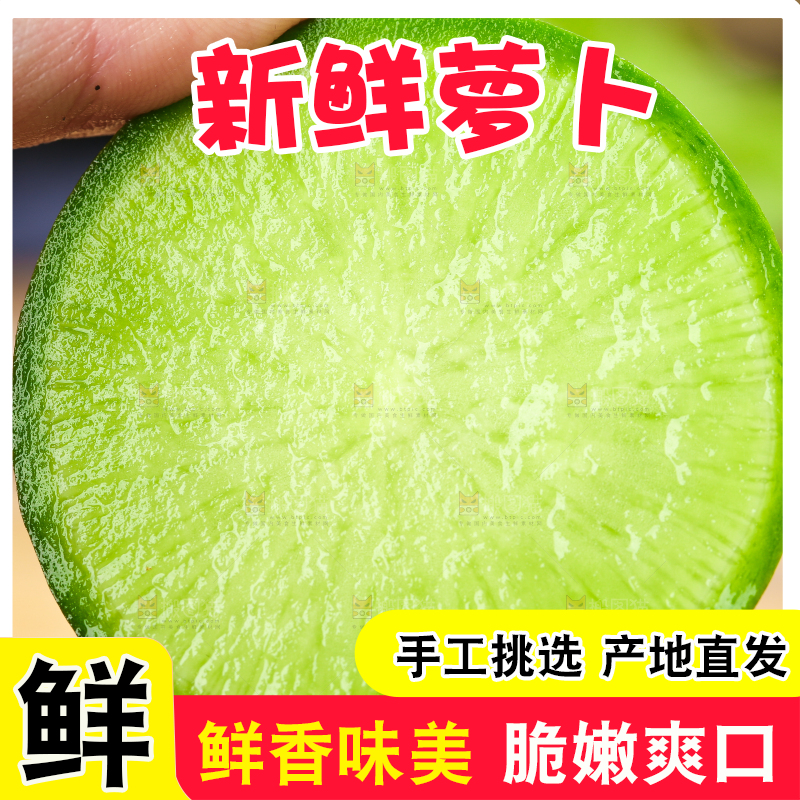 手里拿着青萝卜