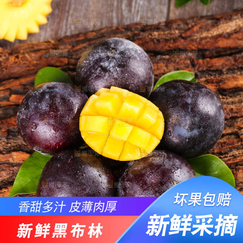 木底上的智利黄肉黑布林