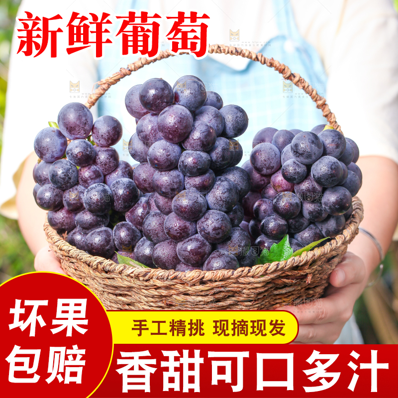 手端一筐巨峰葡萄