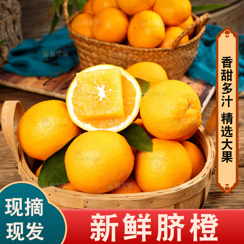 篮子里放着甜橙