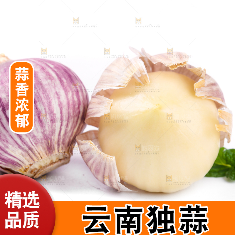 白底上摆放着紫皮独蒜