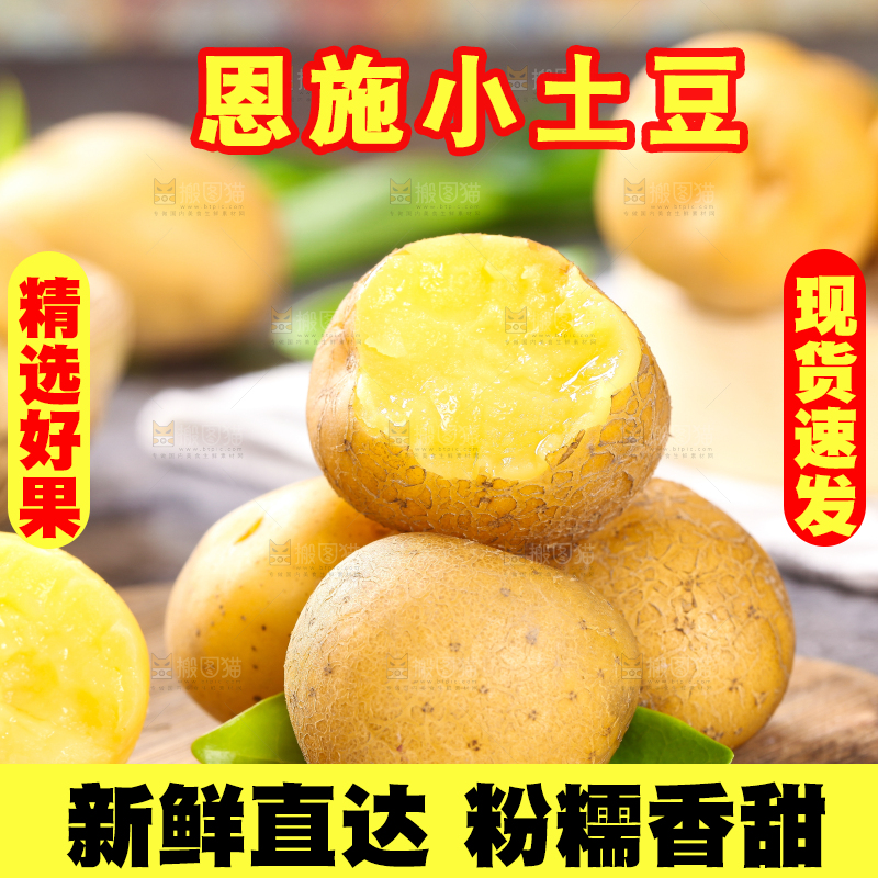 木底上的云南黄心小土豆