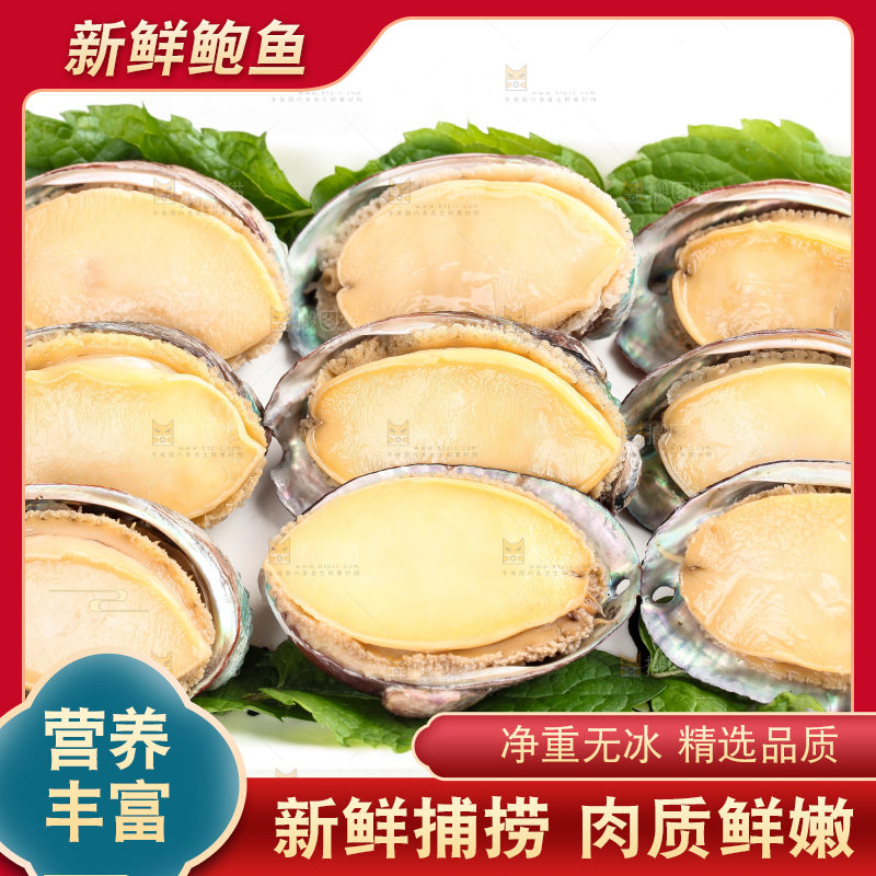 白底上放着新鲜剥开的活动大鲍鱼