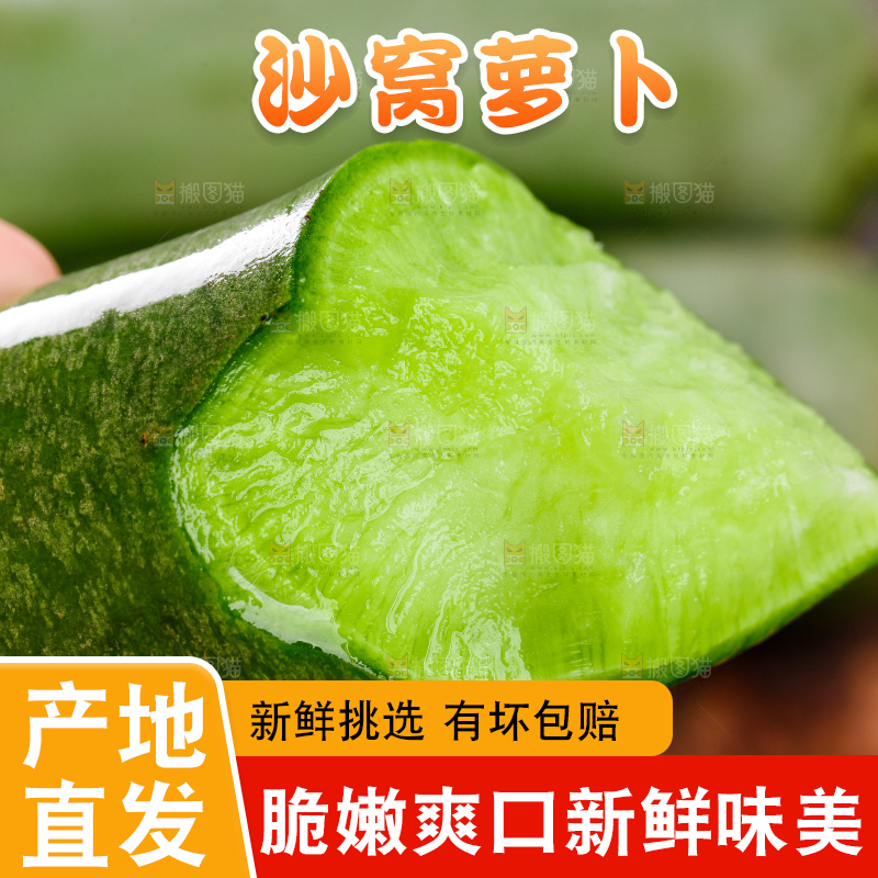 手里拿着青萝卜