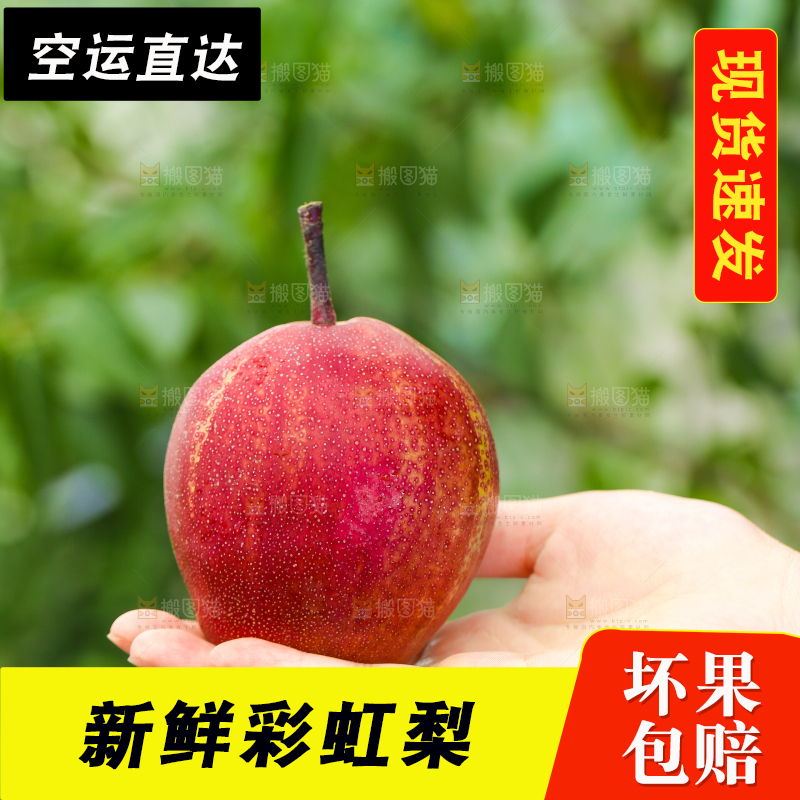 手拿彩虹梨
