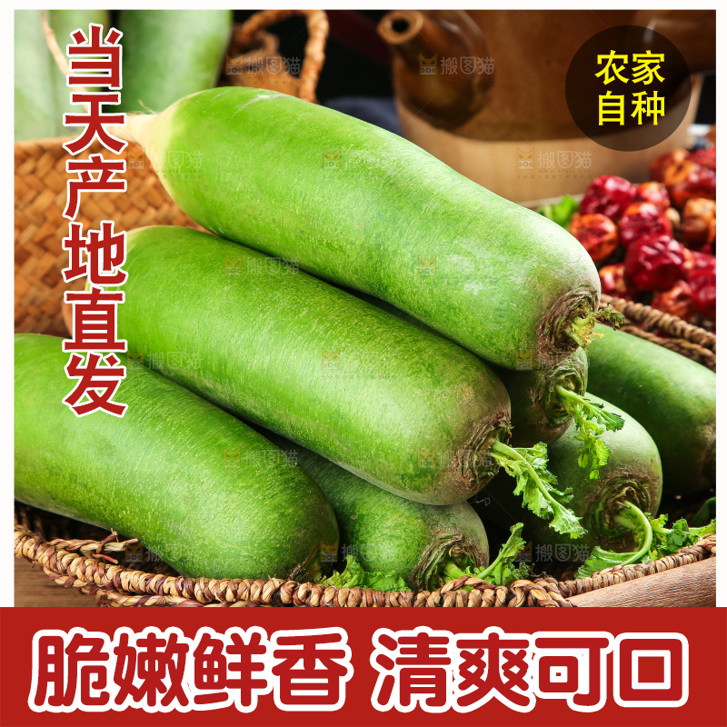 篮子里放着绿心萝卜