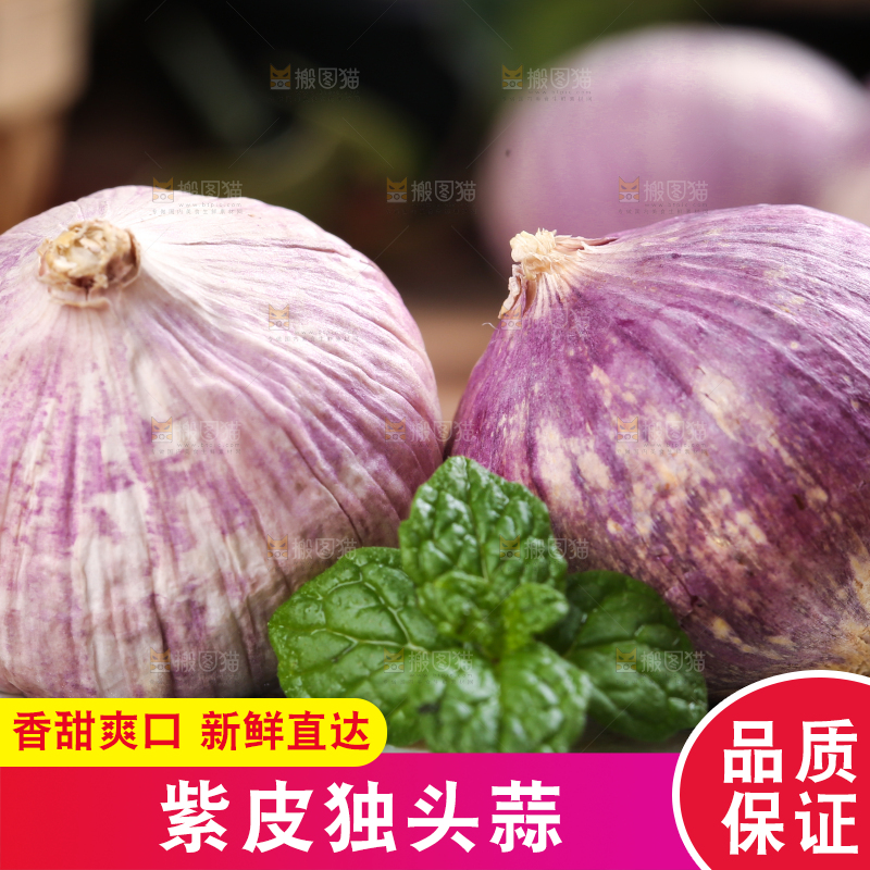 木底上摆放着紫皮独蒜