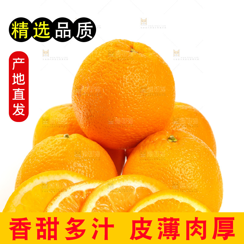白底上摆放着橙子
