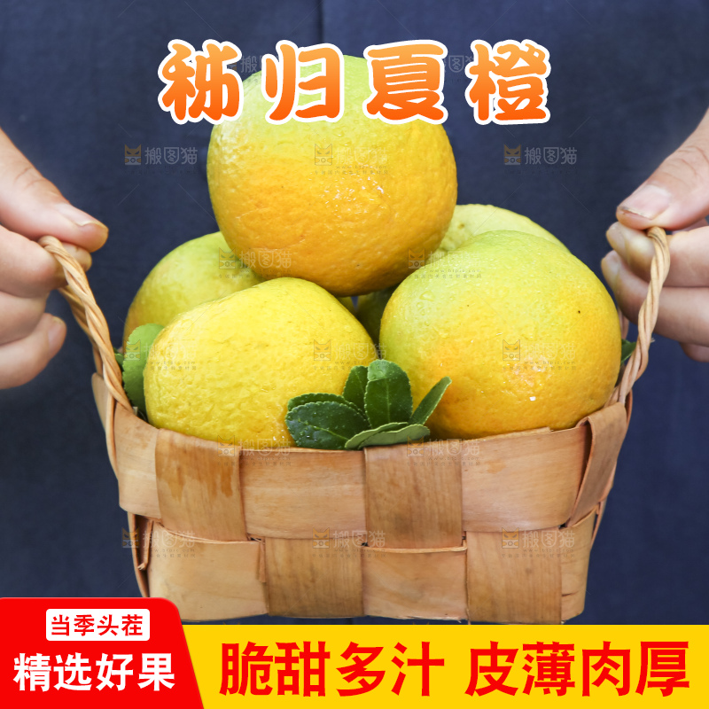 手拿一筐秭归夏橙