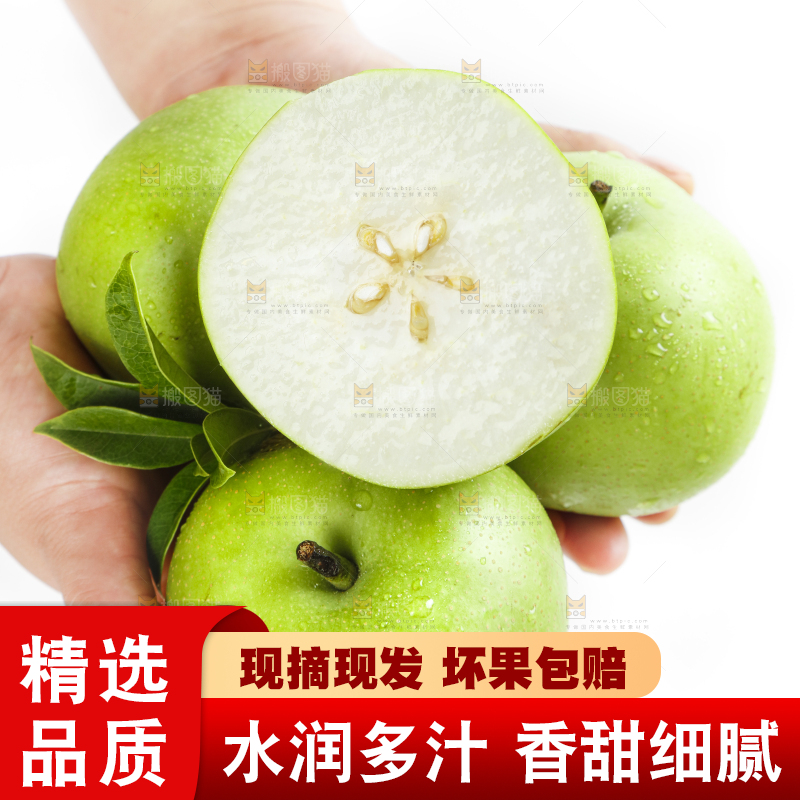 白底上手拿着的砀山苹果梨