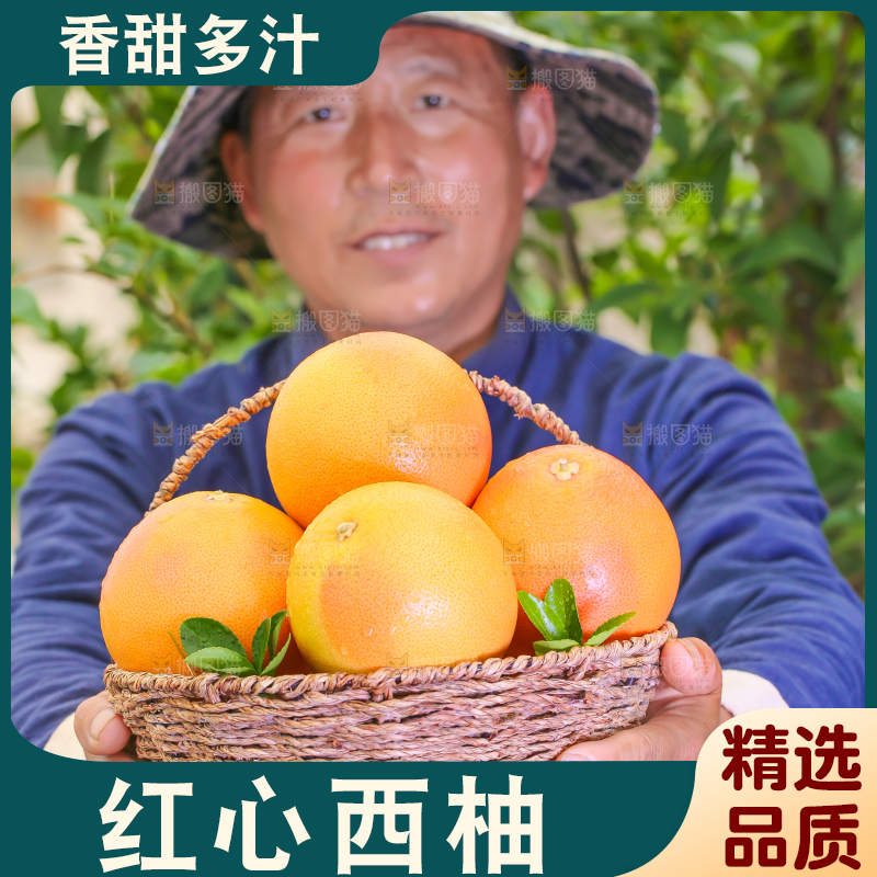 农民手里捧着一筐红心西柚