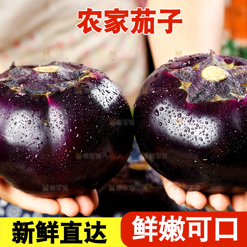 手拿紫圆茄子