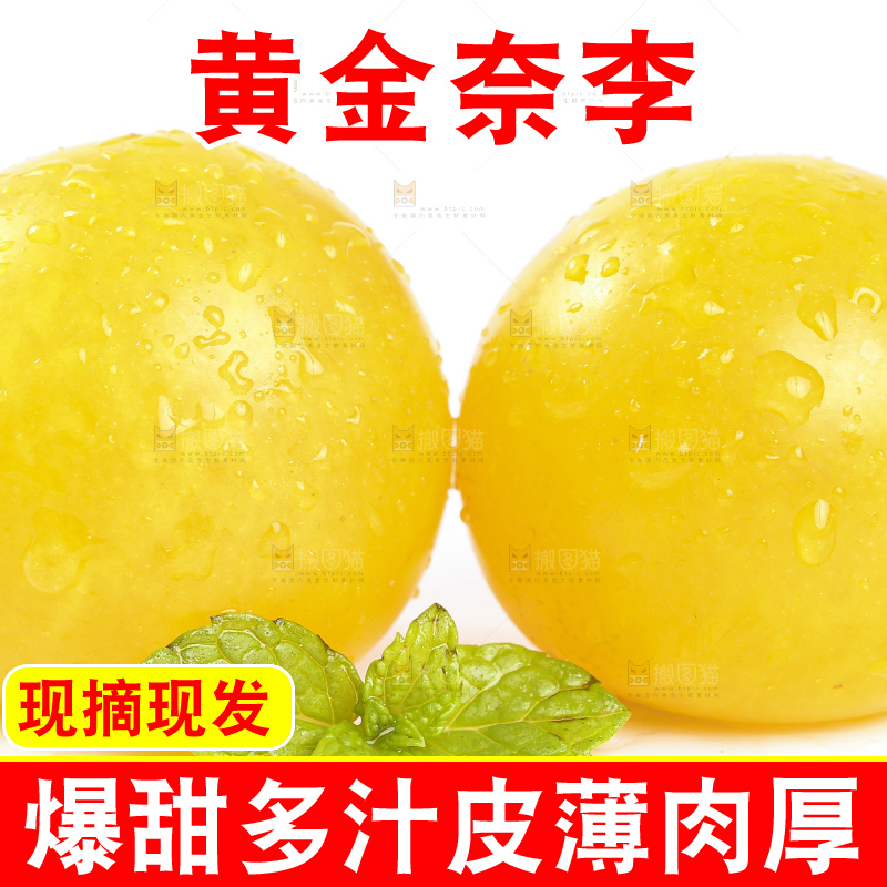 白底上的九峰山黄金奈李
