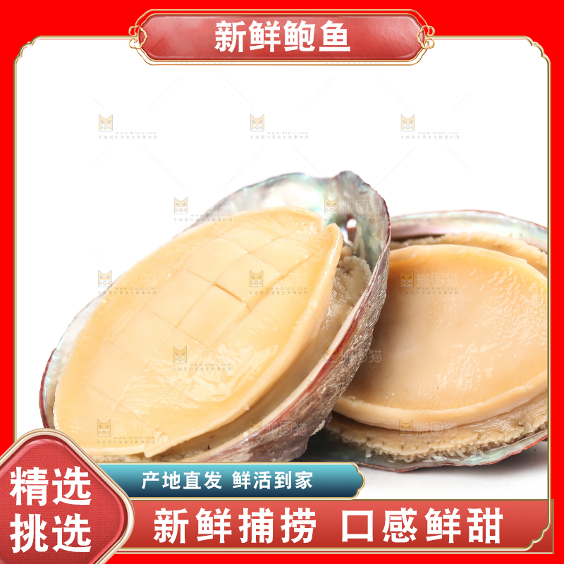 白底上放着新鲜剥开的鲜鲍鱼