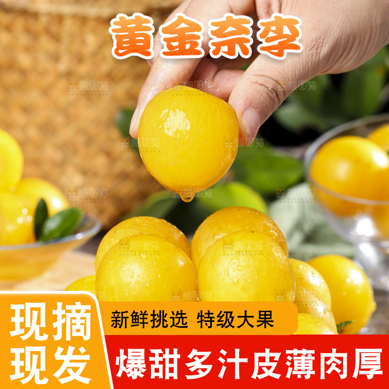 手拿黄金奈李