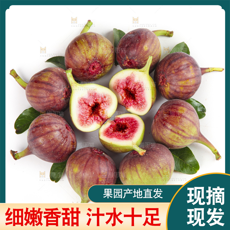 白底上的无花果