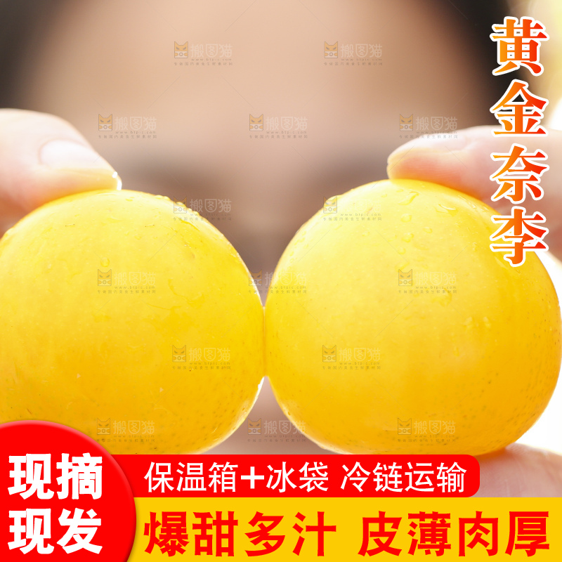 手拿黄金奈李