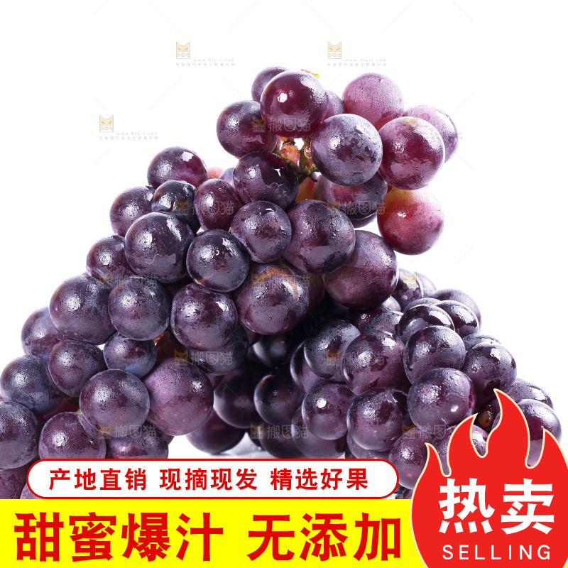 白底上的新鲜巨峰葡萄