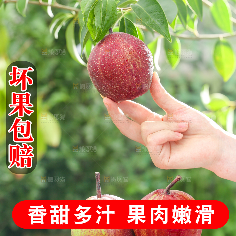 手拿彩虹梨