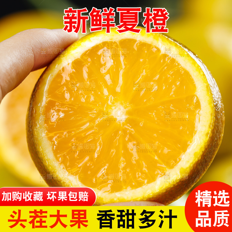 手拿切开的夏橙