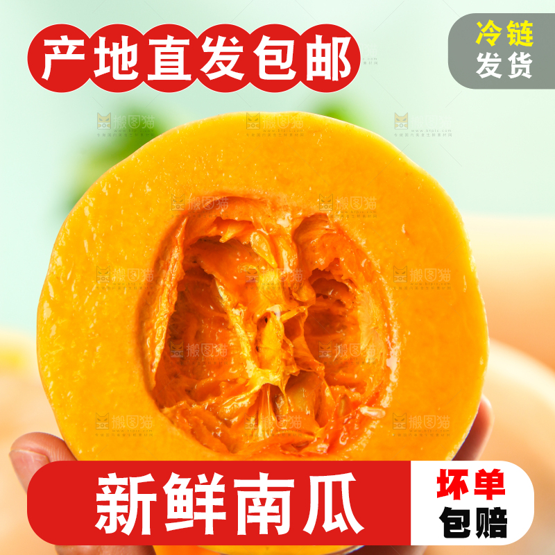 手拿切开的奶油南瓜