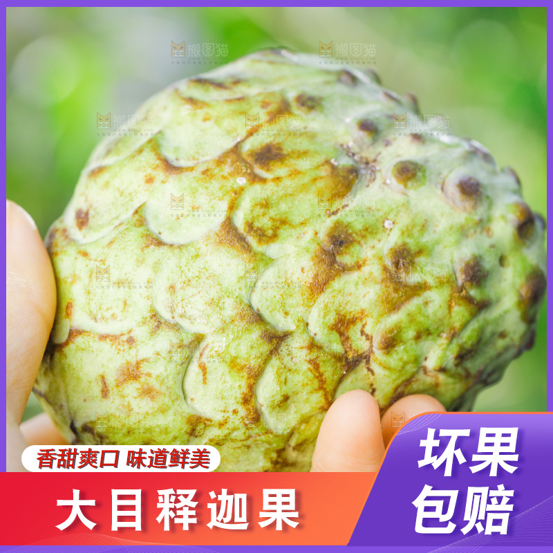手里拿着释迦果