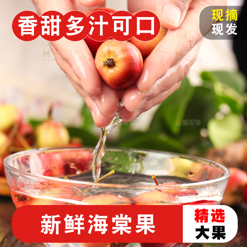 手拿新鲜的海棠果