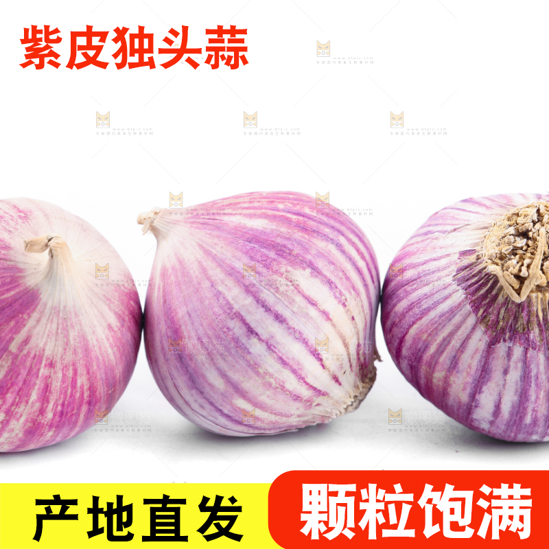 白底上摆放着独蒜