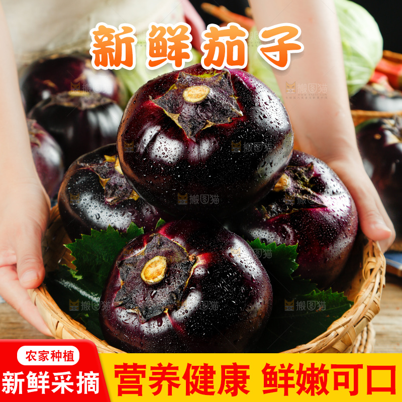 手拿一篮紫圆茄子