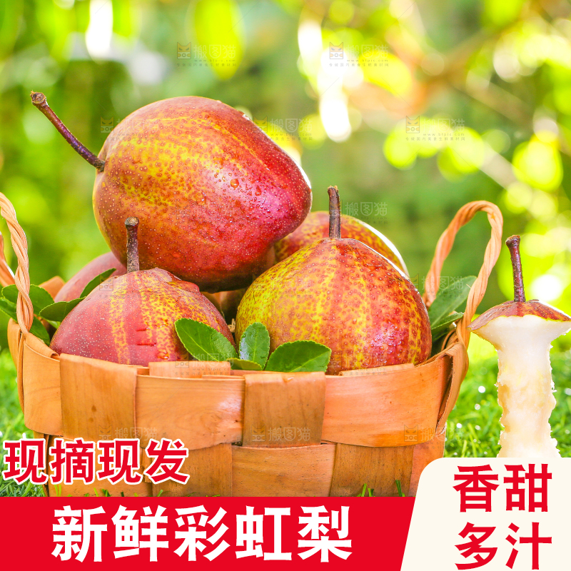 草地上放着彩虹梨果核