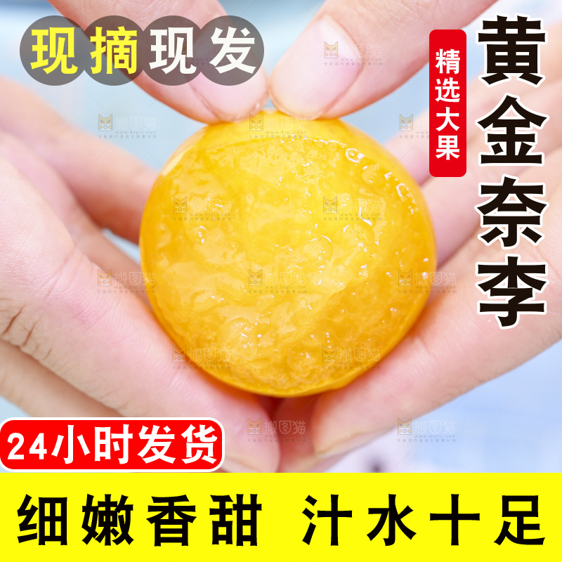 手拿黄金奈李