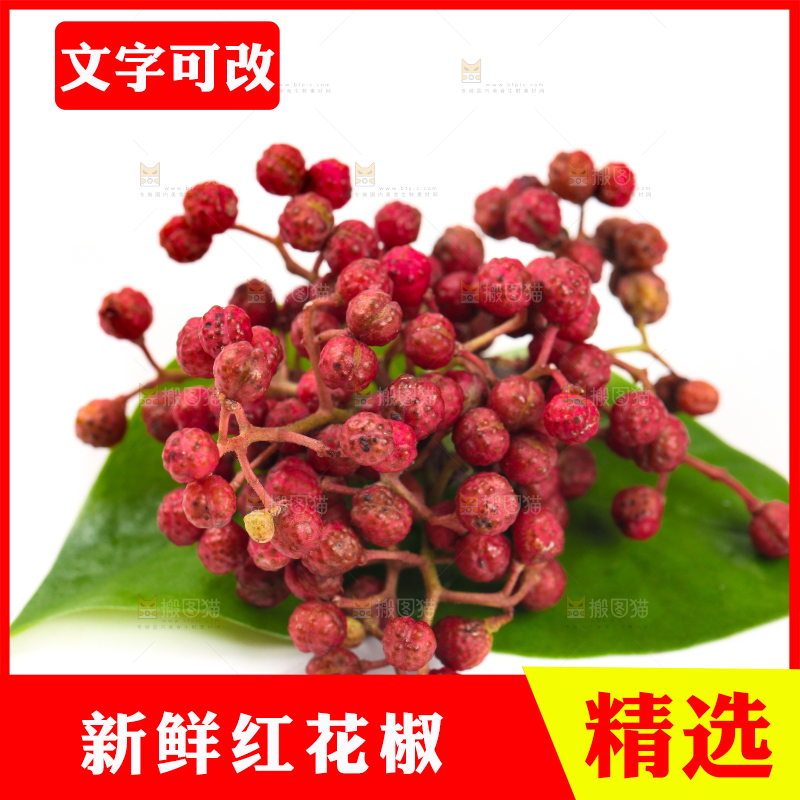 叶子上的新鲜花椒