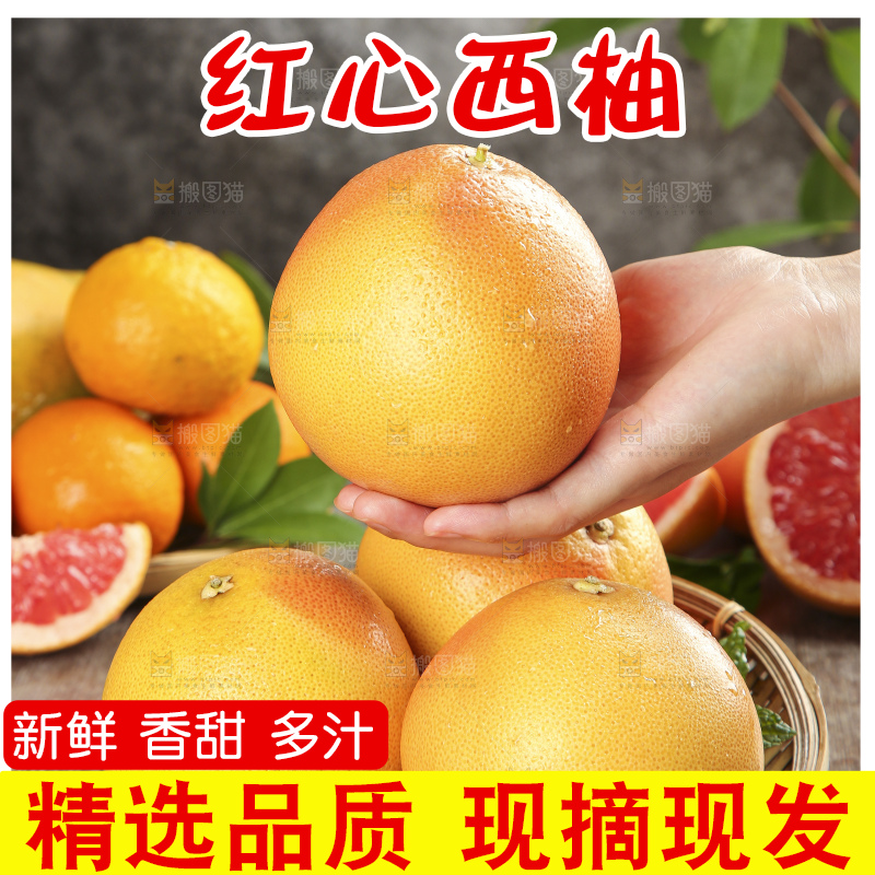 手拿一个红心西柚