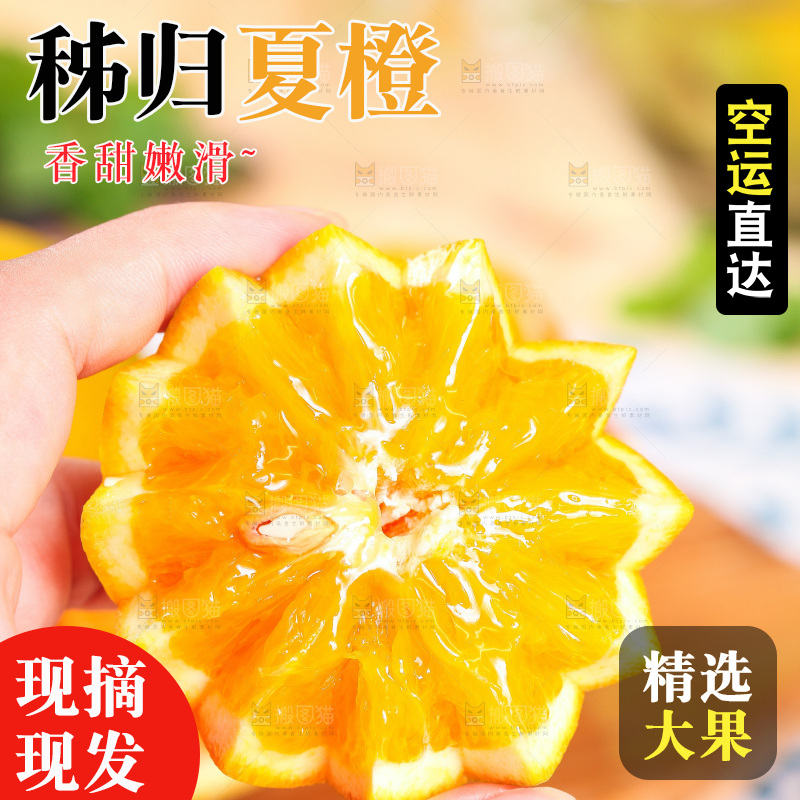 手拿切开的秭归夏橙