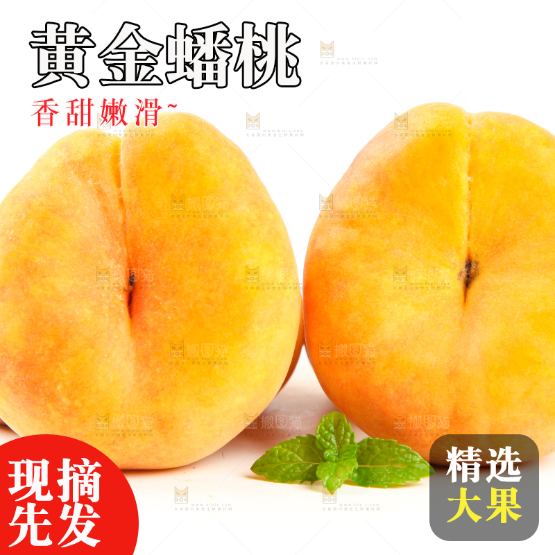 白底上的黄金扁桃