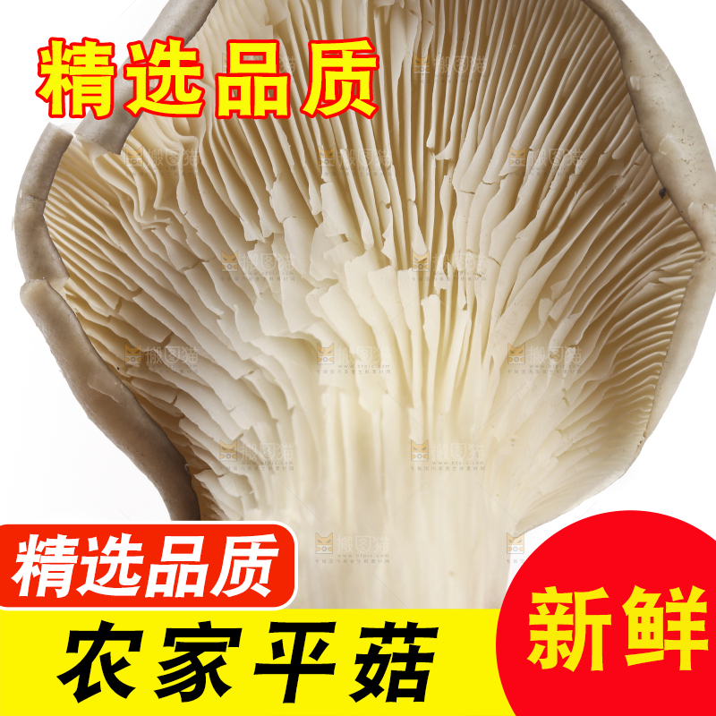 手里拿着平菇
