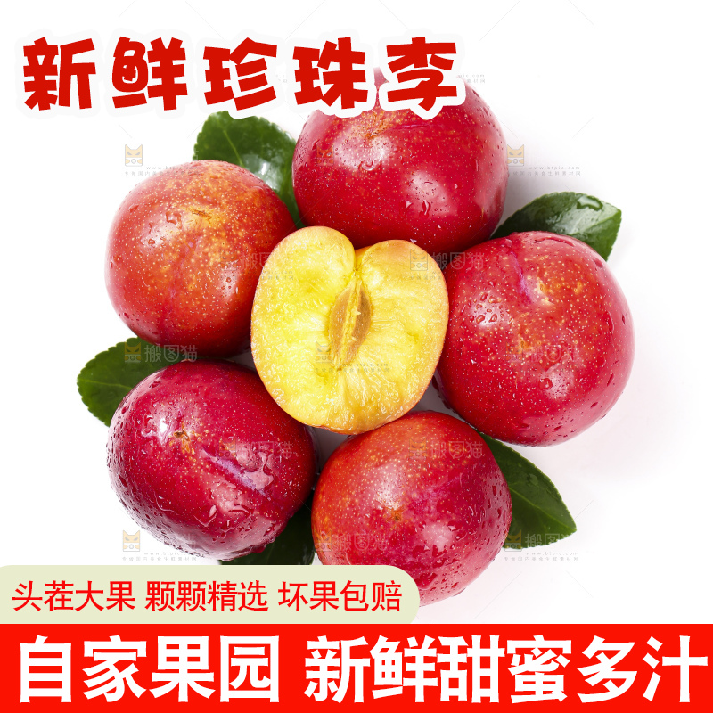 掰开的珍珠李放在白底上