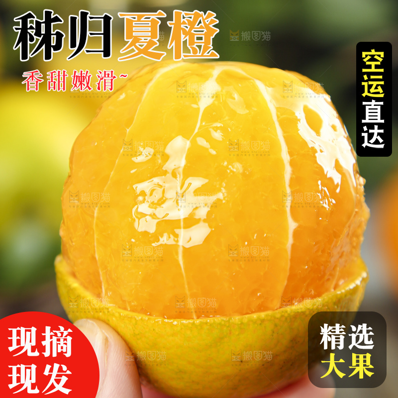 手拿削皮的夏橙