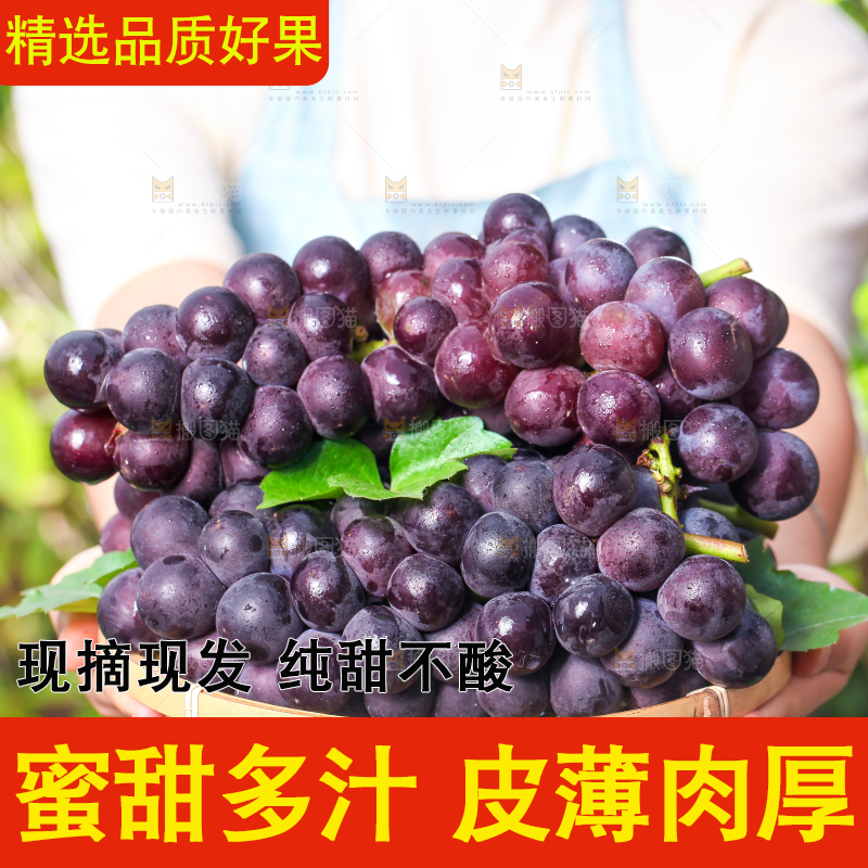 手端一盘新鲜葡萄