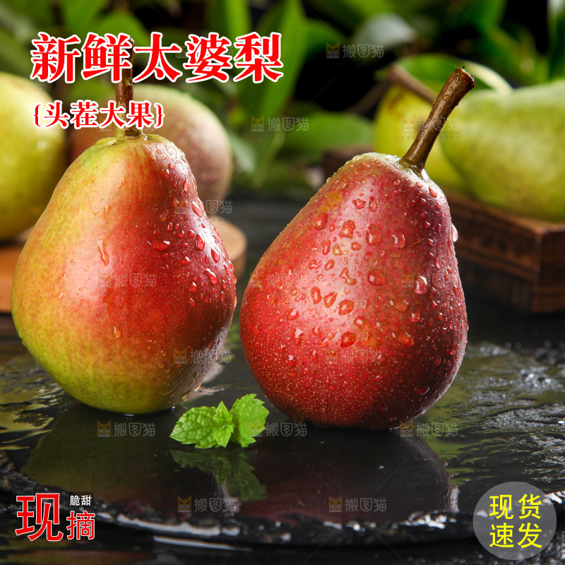黑石板上的太婆梨