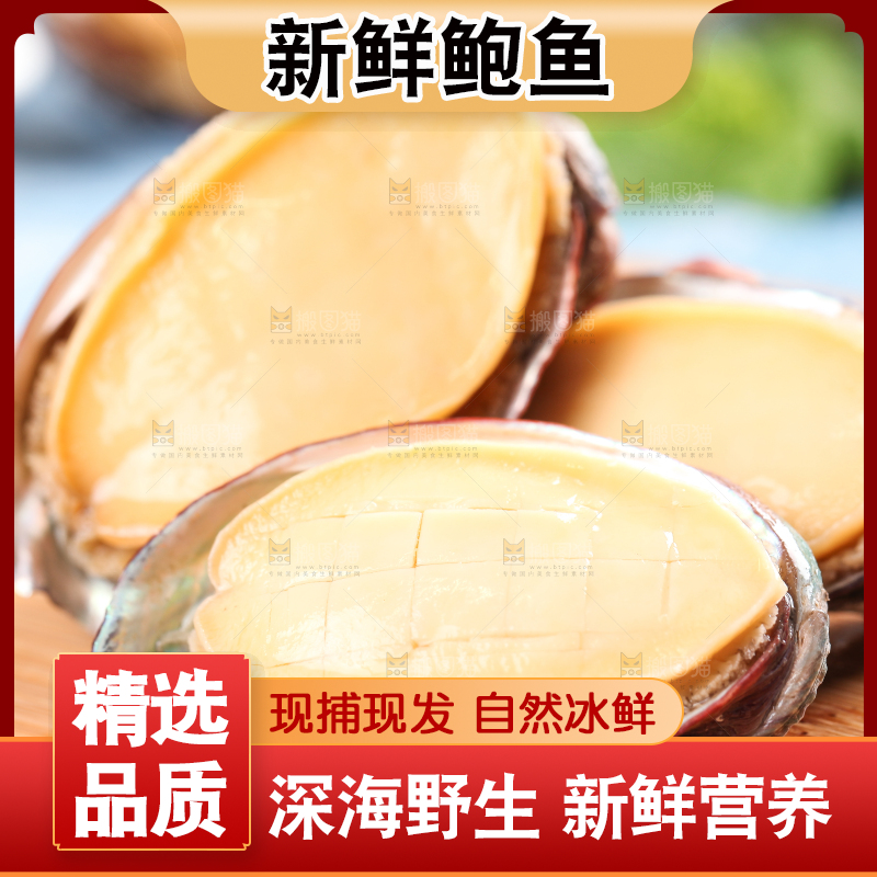 木底上放着鲜冻鲍鱼